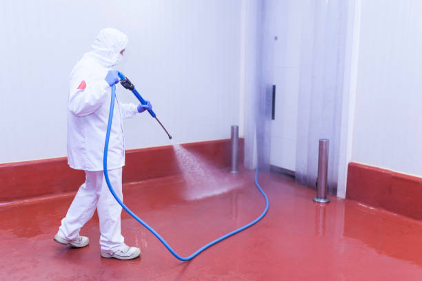 Best Spring Cleaning  in Lake Mohegan, NY