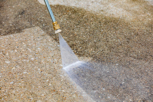 Animal Enclosure Cleaning in Lake Mohegan, NY